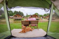 15x Het Leukste Vakantiepark in Twente met Speeltuin (2026)