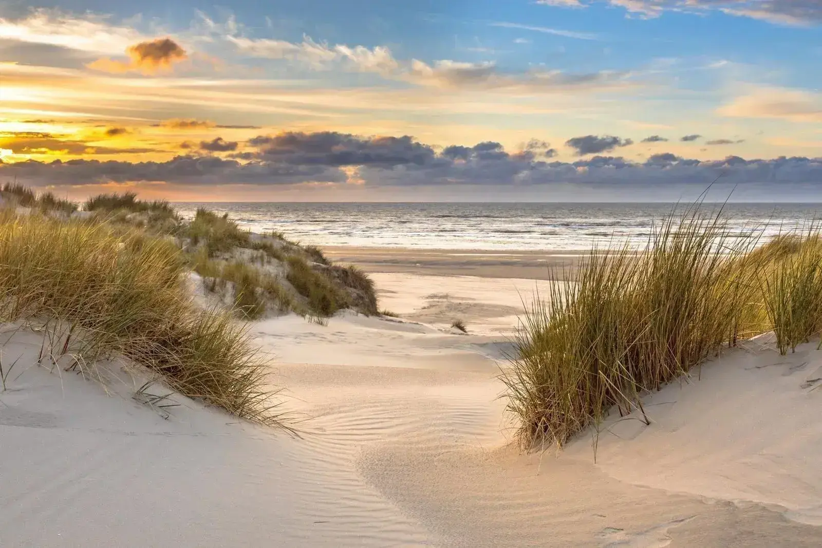 Zon, Zee, Zwembad: 3 Top Vakantieparken aan de Kust met Buitenzwembad