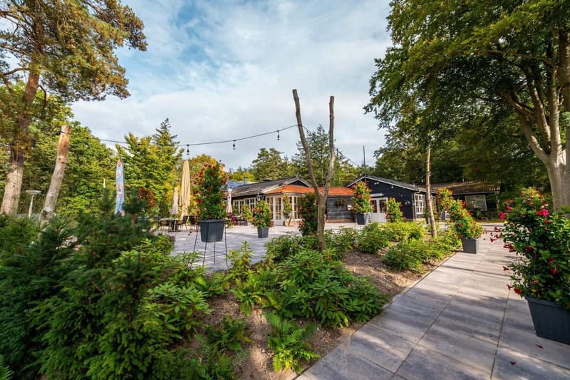 De 5 Mooiste Bungalowparken in Drenthe voor een Ultieme Natuurvakantie