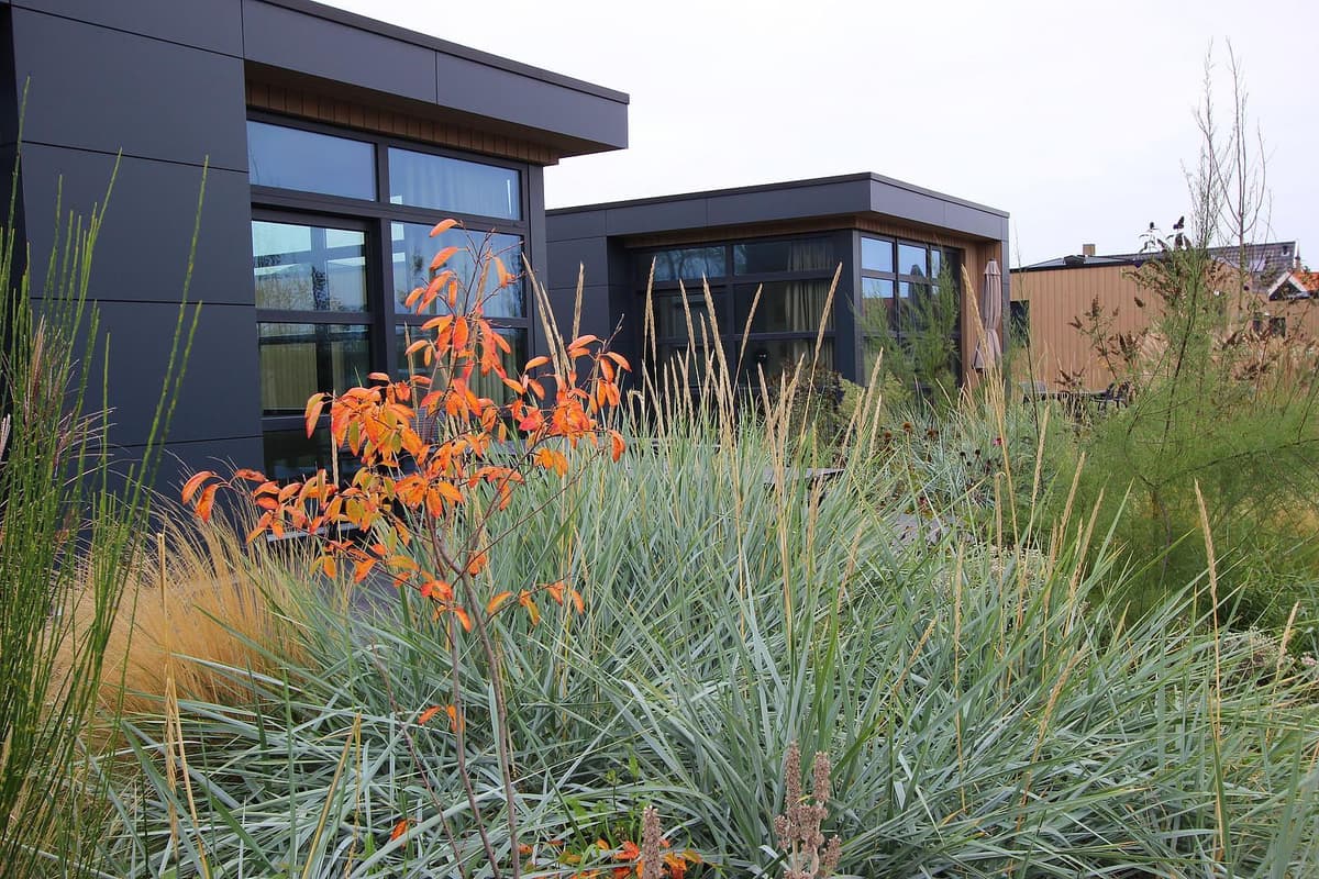 EuroParcs De Zeeuwse Duinen vakantiepark aan zee