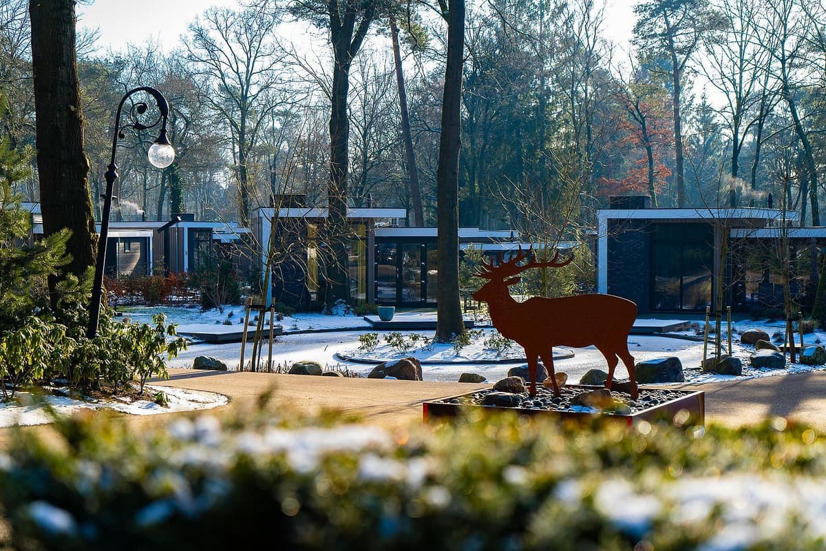 De Rimboe & De Woeste Hoogte Vakantiepark Gelderland met hond