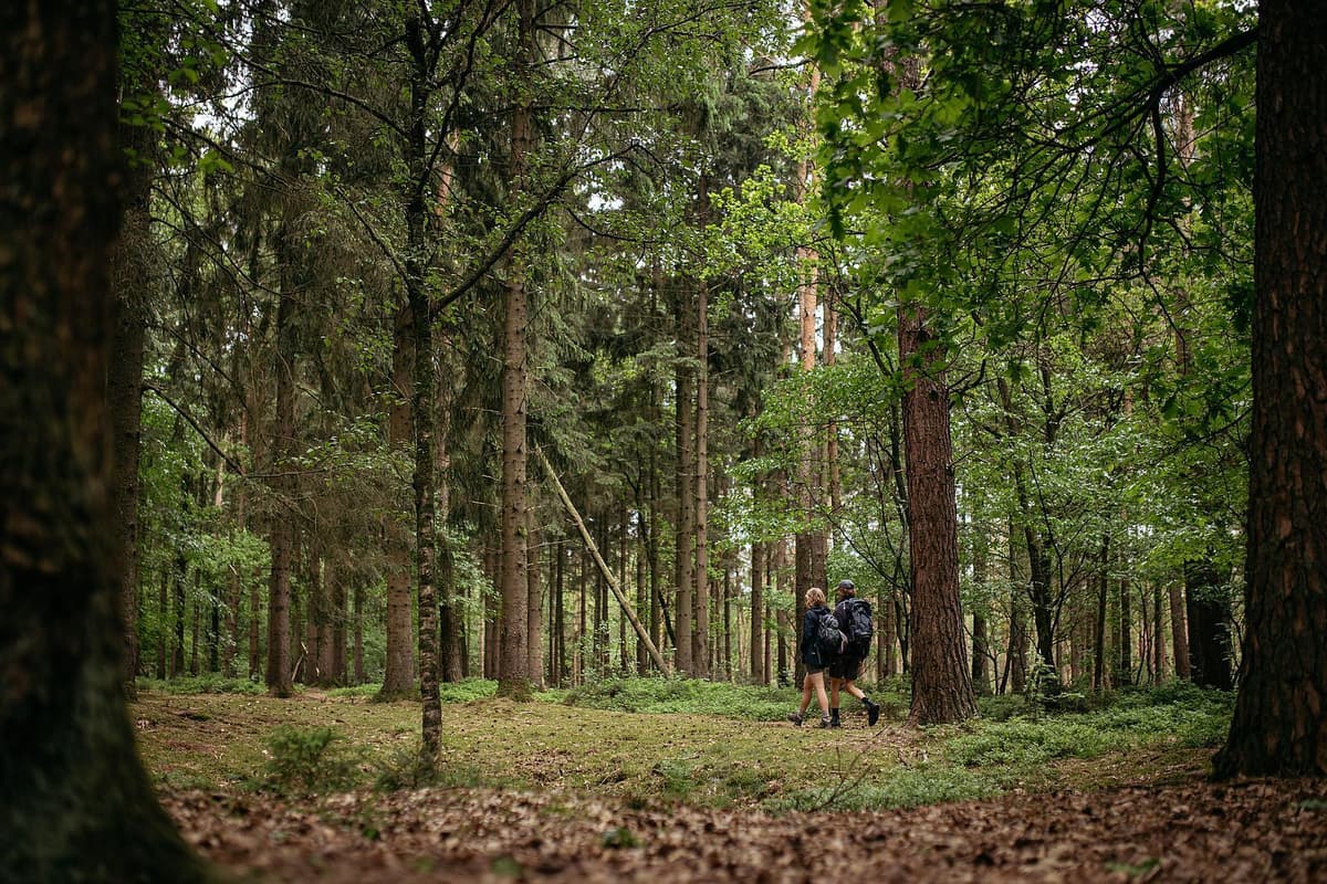 Landgoed Oud Beekdal - vakantiepark in Gelderland voor gezinnen