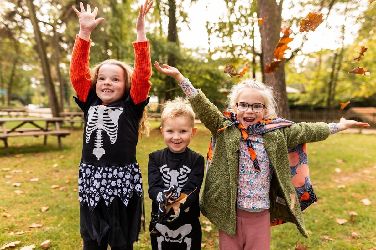 Camping de Paal vakantieparken in Nederland