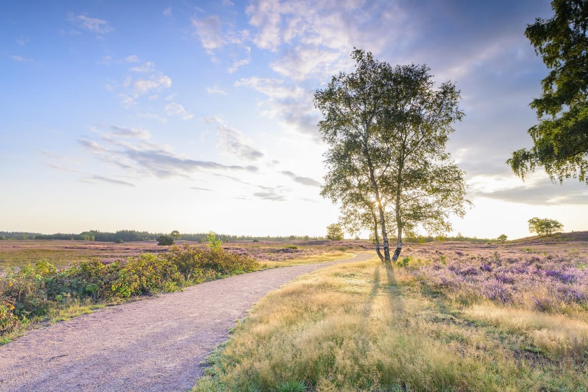 Huis ter Heide - Vakantiewoning kopen in Nederland