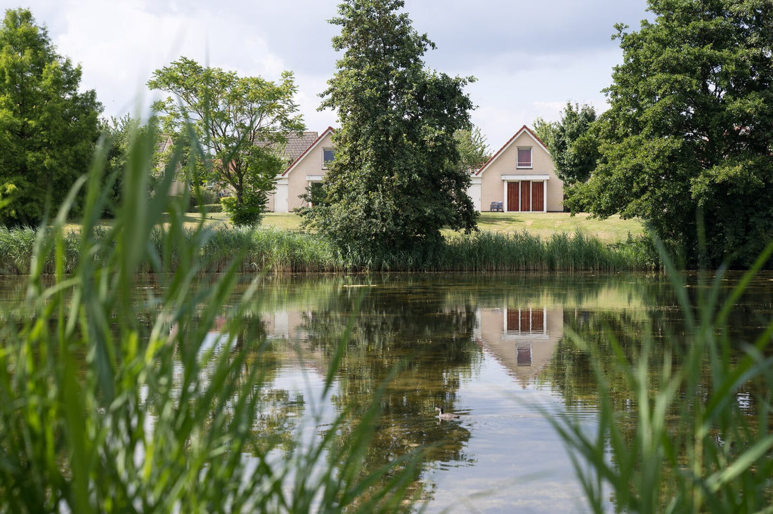 De 10 leukste vakantieparken in Limburg: van heuvels tot waterpret!