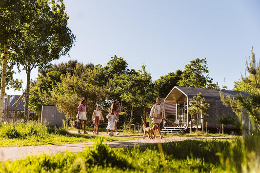 De 6 leukste bungalowparken in Zuid-Holland: van kust tot natuur