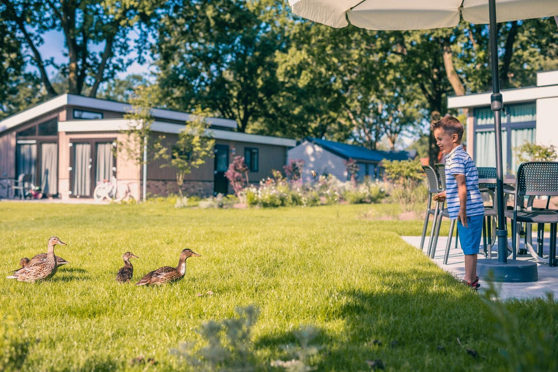 De 5 leukste vakantieparken in Brabant met animatie voor 2026!