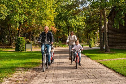 Actieve vakantie in Nederland: de leukste parken met sportfaciliteiten