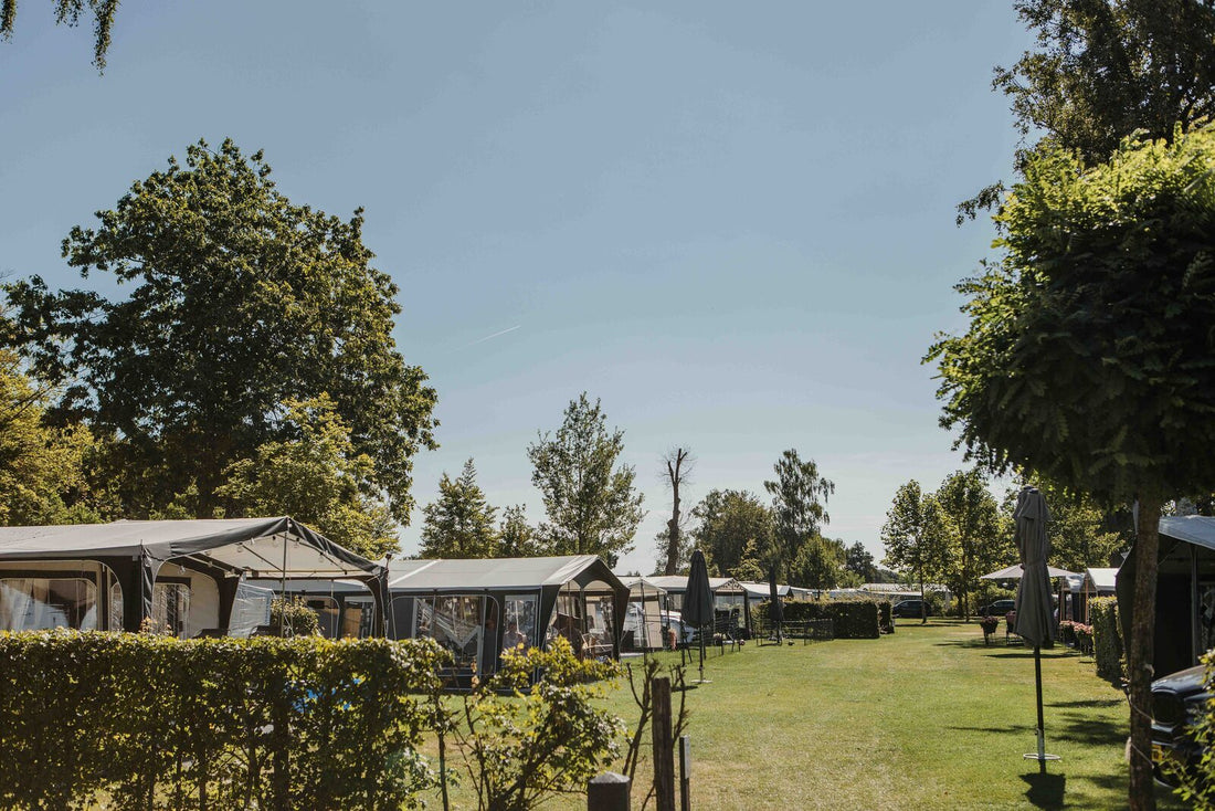 Vakantiepark Gelderland met hond: De 31 leukste opties voor jou & je viervoeter!