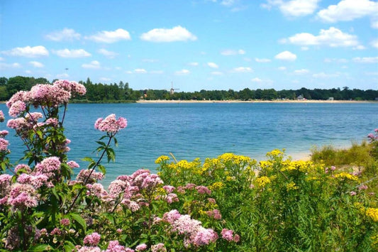 Op zoek naar een leuke camping in de Achterhoek? Dit zijn 3 toppers!