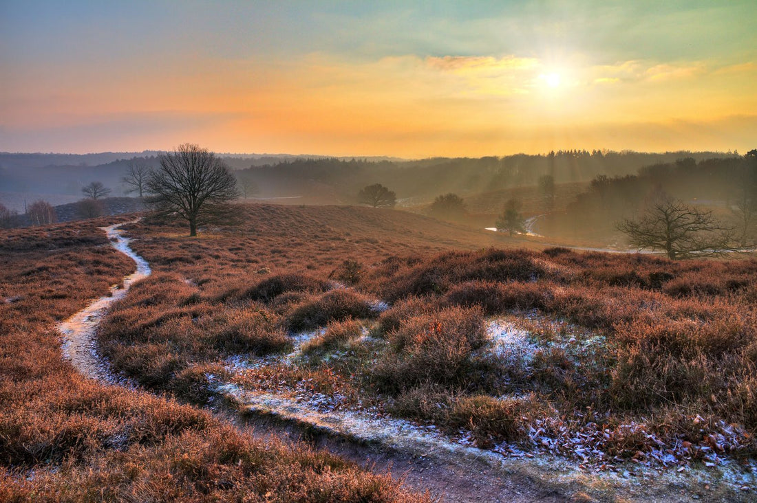 De herfst roept! 15x de leukste vakantieparken voor de herfstvakantie