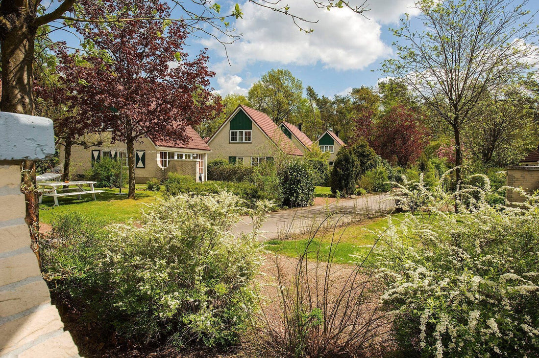 De 57 Leukste Vakantieparken voor een Vakantie met Kinderen in Nederland