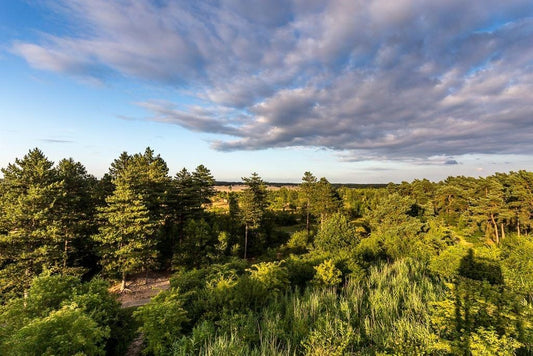 Ontdek ze zelf: 25 bijzondere vakantieparken in Nederland!